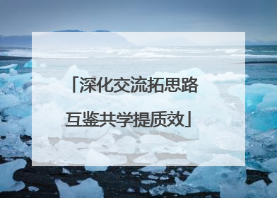 深化交流拓思路 互鉴共学提质效