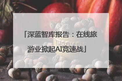 深蓝智库报告：在线旅游业掀起AI竞速战