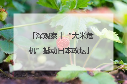 深观察丨“大米危机”撼动日本政坛