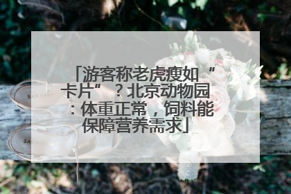 游客称老虎瘦如“卡片”？北京动物园：体重正常，饲料能保障营养需求