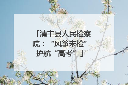 清丰县人民检察院：“风筝未检”护航“高考”