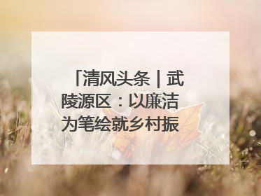 清风头条｜武陵源区：以廉洁为笔绘就乡村振兴新画卷