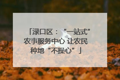 渌口区：“一站式”农事服务中心 让农民种地“不操心”