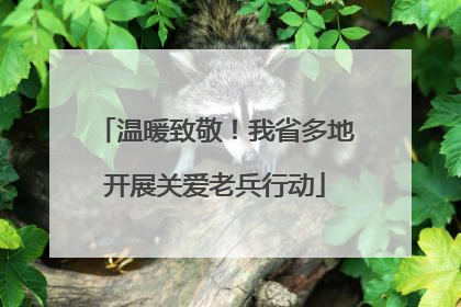 温暖致敬！我省多地开展关爱老兵行动