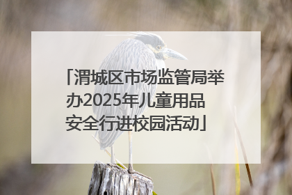 渭城区市场监管局举办2025年儿童用品安全行进校园活动