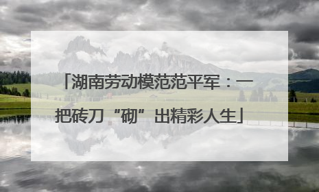 湖南劳动模范范平军：一把砖刀“砌”出精彩人生
