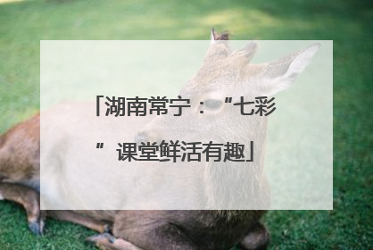 湖南常宁：“七彩”课堂鲜活有趣