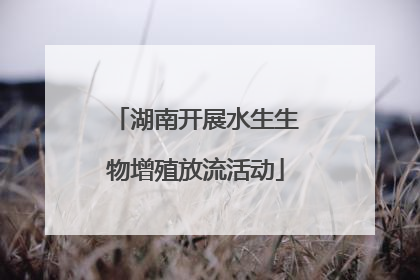 湖南开展水生生物增殖放流活动
