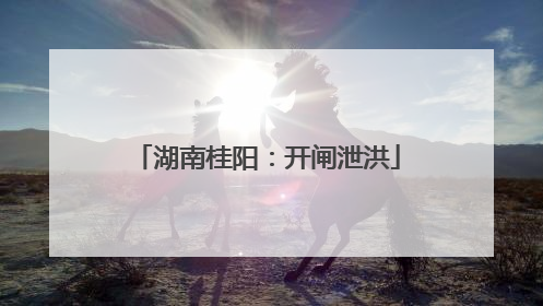 湖南桂阳：开闸泄洪