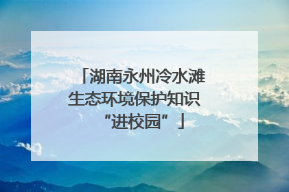 湖南永州冷水滩生态环境保护知识“进校园”