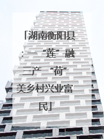 湖南衡阳县：一“莲”融三产 “荷”美乡村兴业富民