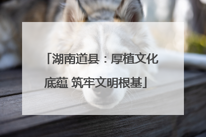 湖南道县：厚植文化底蕴 筑牢文明根基