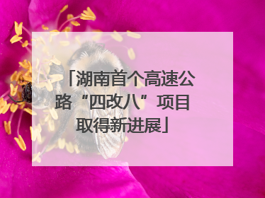 湖南首个高速公路“四改八”项目取得新进展