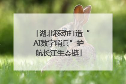 湖北移动打造“AI数字哨兵”护航长江生态链