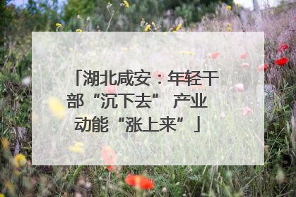 湖北咸安：年轻干部“沉下去” 产业动能“涨上来”