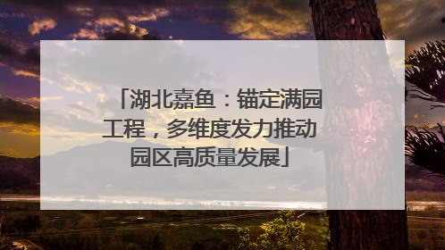 湖北嘉鱼：锚定满园工程，多维度发力推动园区高质量发展