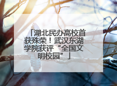 湖北民办高校首获殊荣！武汉东湖学院获评“全国文明校园”