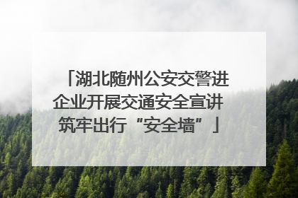 湖北随州公安交警进企业开展交通安全宣讲筑牢出行“安全墙”
