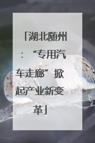 湖北随州：“专用汽车走廊”掀起产业新变革