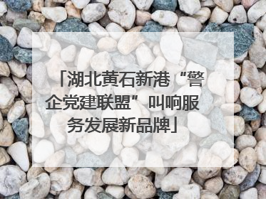 湖北黄石新港“警企党建联盟”叫响服务发展新品牌