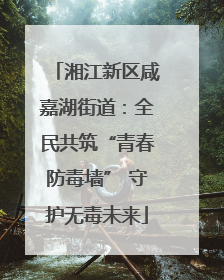 湘江新区咸嘉湖街道：全民共筑“青春防毒墙” 守护无毒未来