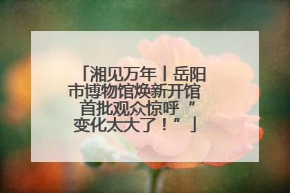 湘见万年丨岳阳市博物馆焕新开馆 首批观众惊呼“变化太大了！”