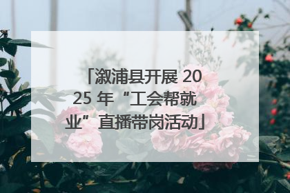 溆浦县开展 2025 年“工会帮就业”直播带岗活动