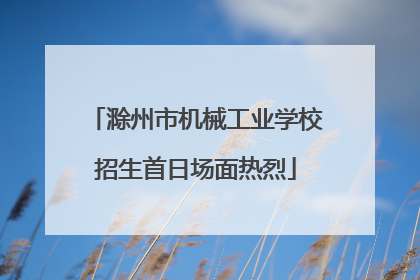滁州市机械工业学校招生首日场面热烈