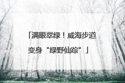 满眼翠绿！威海步道变身“绿野仙踪”