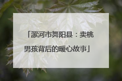 漯河市舞阳县：卖桃男孩背后的暖心故事