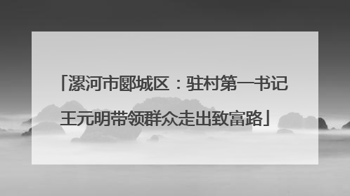 漯河市郾城区：驻村第一书记王元明带领群众走出致富路
