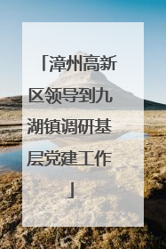 漳州高新区领导到九湖镇调研基层党建工作
