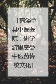 菏泽单县中医医院：研学游里感受中医药传统文化