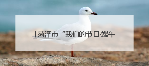菏泽市“我们的节日·端午”主题活动暨全市文明实践精品项目案例交流活动举办