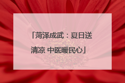 菏泽成武：夏日送清凉 中医暖民心