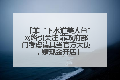 菲“下水道美人鱼”网络引关注 菲政府部门考虑请其当官方大使，赠现金开店