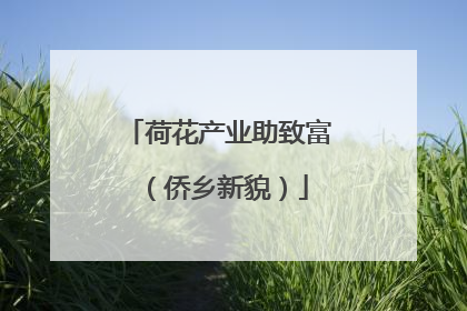 荷花产业助致富（侨乡新貌）
