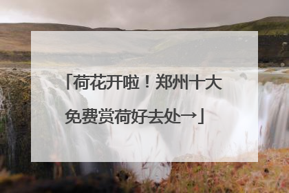 荷花开啦！郑州十大免费赏荷好去处→