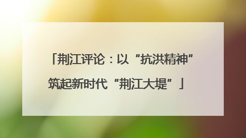 荆江评论：以“抗洪精神”筑起新时代“荆江大堤”