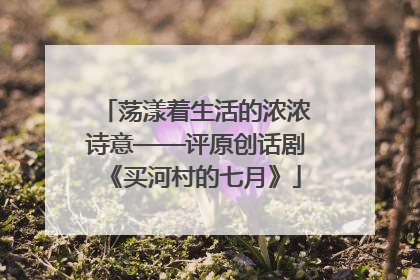 荡漾着生活的浓浓诗意——评原创话剧《买河村的七月》