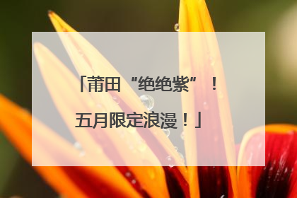 莆田“绝绝紫”！五月限定浪漫！