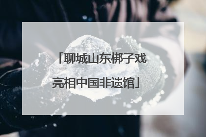 聊城山东梆子戏亮相中国非遗馆