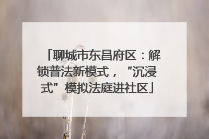 聊城市东昌府区：解锁普法新模式，“沉浸式”模拟法庭进社区