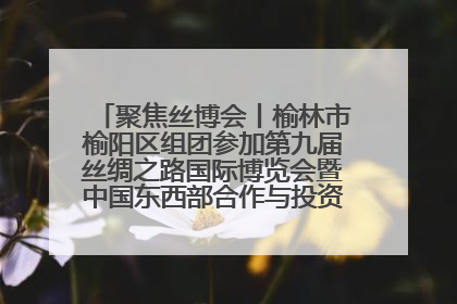 聚焦丝博会丨榆林市榆阳区组团参加第九届丝绸之路国际博览会暨中国东西部合作与投资贸易洽谈会