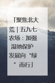 聚焦北大荒｜五九七农场：加强湿地保护 发展向“绿”而行