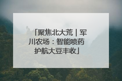 聚焦北大荒｜军川农场：智能喷药护航大豆丰收
