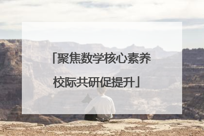 聚焦数学核心素养 校际共研促提升