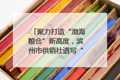 聚力打造“渤海粮仓”新高度，滨州市供销社谱写“三夏”丰收乐章