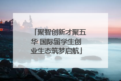 聚智创新才聚五华 国际留学生创业生态筑梦启航