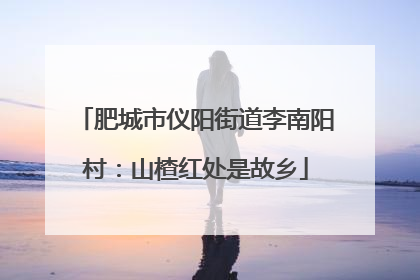 肥城市仪阳街道李南阳村：山楂红处是故乡